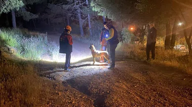 Ormana girdi, sırra kadem bastı
