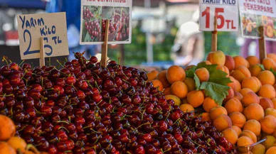 Bu meyvede geçtiğimiz sene Türkiye dünya birincisiydi. Artık kimse yanına yaklaşamayacak