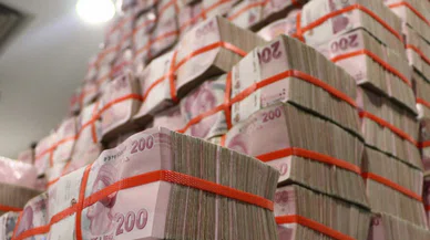 1 milyon TL'si olan hiç bir şey yapmadan 2 asgari ücret kazanıyor! Aylık faizden sonra günlük faiz uygulaması başladı
