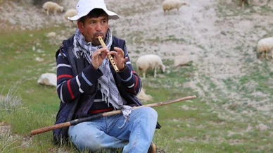 Türkiye'de çoban kriterleri yeniden belirlendi