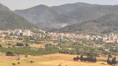 İzmir'de orman yangını