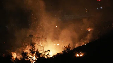 İzmir Aliağa'da orman yangını: Foça’ya doğru genişledi, bazı evler tahliye edildi