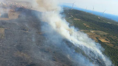 İzmir Çeşme'deki orman yangılarında son durum ne?