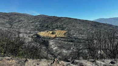 İzmir yandı o bölge yanmadı: Herkes şaşkın