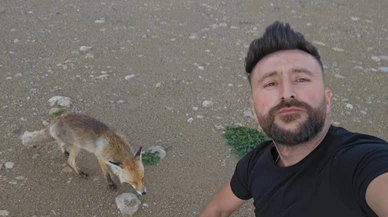 Bu tilki kıtır kıtır cips yiyor. Gökhan Aslan'ın yeni dostu oldu