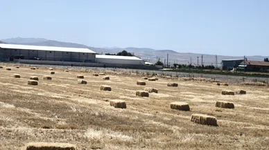 Konya Ovası'nda zamlar peş peşe geliyor. Hayvancılık sektörü bu fiyatı bekliyordu