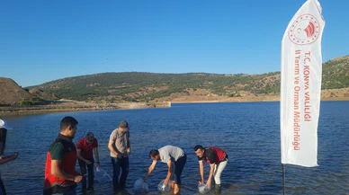 Kuruyan göllere inat  Konya'da baraj ve göletleri yavru sazan balıkları ile buluştu