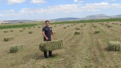 Üretimine hibeyle başladılar, yem bitkilerinde hasat heyecanı
