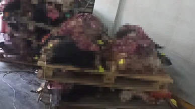 Korkunç manzara: Yüzlerce hayvan kellesi