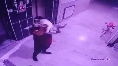 Hayvanlara işkence videosu: Küresel bir çete ortaya çıkarıldı