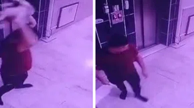 Konya'da hamile kediye şiddet uygulayan şahıs gözaltına alındı