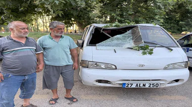 Konya'da piknik alanında facia: Dev gibi ağaç dalı piknik yapanların üzerine devrildi