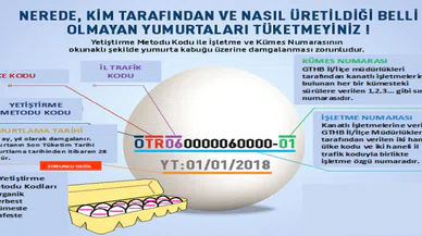Yumurtanın üzerindeki kodlar ne anlama geliyor? Yumurta deyip geçme
