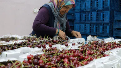 2026 için kötü senaryo! Zam dalgası ambalajlı gıdaya da sarkacak