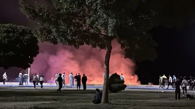 Konya Beyşehir Gölü kenarında korkutan yangın