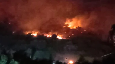 Dikili’de orman yangını: Çanakkale yolu ulaşıma kapatıldı