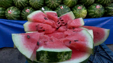 "Karpuzu da mı yıkayacağız" demeyin! Salmonella riski var