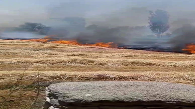 Konya'da korkutan anız yangını