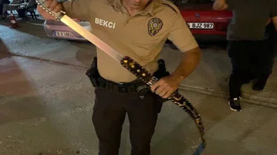 Kimi katledecekti? Bekçi de gördüğü karşısında şok oldu