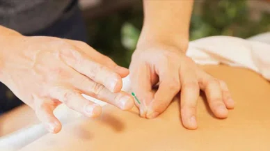 Aile hekimliğindeki  akupunktur ve fitoterapi ilgi görüyor
