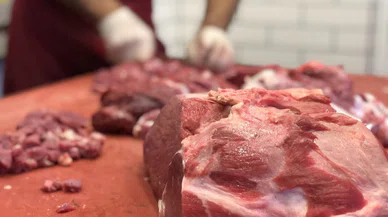 Konya'da kasaplar at mı kesti? Kemikleri bıçakla sıyırılmış halde bulundu