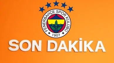 Fenerbahçe deplasmanda Feyenoord'a 2-1 mağlup oldu