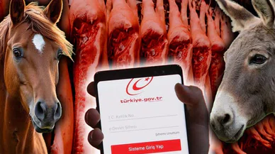 At, eşek ve domuz eti satanlar artık e-Devlet'te: Ne yediğimizi bileceğiz