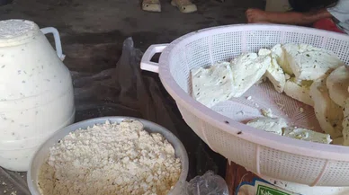 Bu peynir kuma gömülüyor! "Hoşuma gitti alayım" diyorsanız 3 ay önceden haber vereceksiniz