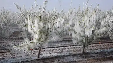 Konya ve bölgedeki iller için Meteoroloji'den don uyarısı: Yağışlar sürecek