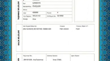 65 yaş üzerine sağlık raporu zorunlu mu: Tapu işlemleri