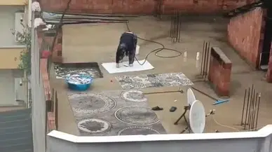 Görenler şaşırdı kaldı: İşte o görüntüler