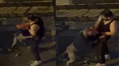 Pitbull cinsi köpek sahibine saldırdı: O anlar kamerada