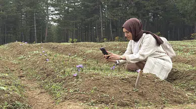 Kilosu 600 bin lira: Bu insanlar onu ancak fotoğraflayabiliyorlar