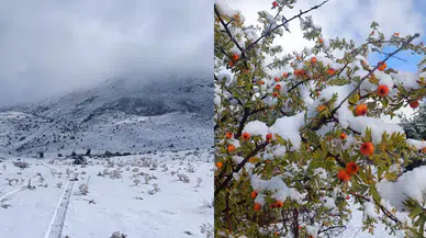 Konya’da hangi bölge ne kadar yağış aldı? 24 saatlik tablo belli oldu