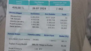 Elektrik faturalarında yeni tarife: O faturalarda devlet desteği kalktı