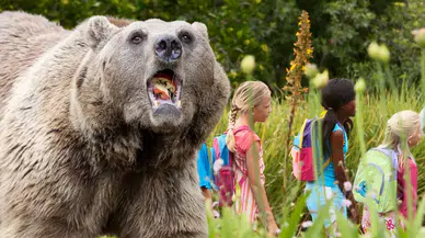 Okul gezisinde ayı faciası: Kabus yaşayan öğrencimler arasında yaralılar var