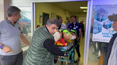 Mantar topluyordu: Ayı saldırısına uğrayan köy imamı yaralandı