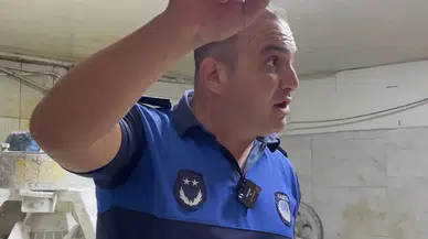 Sağlığı hiçe saydılar: Zabıta böcek çeşitlerini saymakla bitiremedi