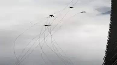 Uçtu uçtu cam siliciler uçtu: Gökdelenin camlarını temizliyorlardı