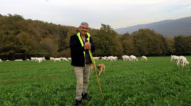 Besiciler için bedava ot: Yüzü gülen üreticinin günlük kârı 800 lira