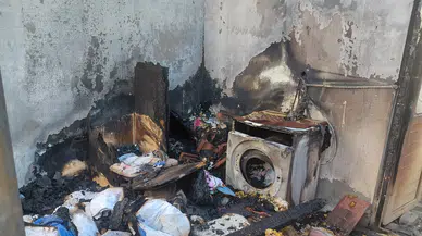 Hayvansever kadın ve 20 kedi: Her şey küle döndü