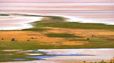 Kuraklık nedeniyle bulut aşılama çalışmaları yapılıyor