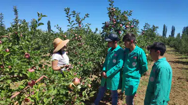 Konya güvenli ve sağlıklı gıdada ilk sırada: Organik tarım yapılıyor doğal üretiyor