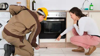 Halk sağlığı böyle hiçe sayılıyor: İlaçlamada sertifika zorunlu ama