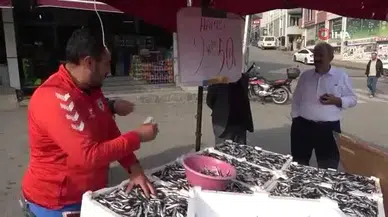 Samsunspor fanatiği balıkçı çıldırdı: Hamsiyi 25 TL’den sattı