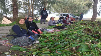 Asi Nehri'nin kalbi kırık kadınları: Depremin acısını sanatla dindiriyorlar