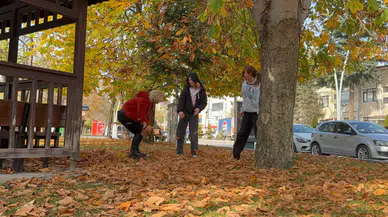 Belediye yaprakları temizlemedi, parkta renk cümbüşü oluştu