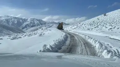 Bu şehirler beyaz bereketi karşıladı: Lapa lapa kar yağıyor