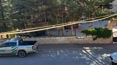 Konya'da İzinsiz Ağaç Kesene İdari Para Cezası Uygulandı