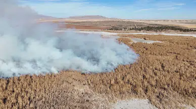 Konya'nın kuş cenneti alev alev yanıyor: Ekipler zamanla yarışıyor